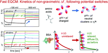 Graphical abstract: Fast and slow EQCM response of zwitterionic weak electrolytes to changes in the electrode potential: a pH-mediated mechanism