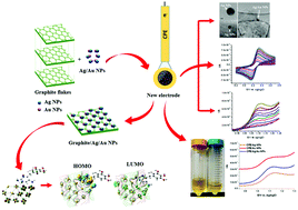 Graphical abstract: Rapid electrochemical recognition of trimethoprim in human urine samples using new modified electrodes (CPE/Ag/Au NPs) analysing tunable electrode properties: experimental and theoretical studies