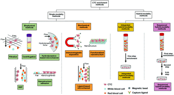 Graphical abstract: A review of enrichment methods for circulating tumor cells: from single modality to hybrid modality