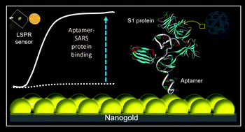 Graphical abstract: Localized surface plasmon resonance aptasensor for selective detection of SARS-CoV-2 S1 protein