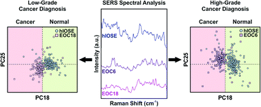 Graphical abstract: Characterization of ovarian cancer-derived extracellular vesicles by surface-enhanced Raman spectroscopy