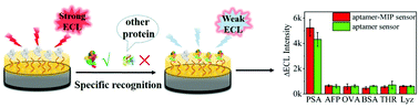 Graphical abstract: Sensitive and selective “signal-off” electrochemiluminescence sensing of prostate-specific antigen based on an aptamer and molecularly imprinted polymer