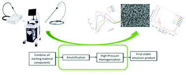 Graphical abstract: In situ real time monitoring of emulsification and homogenization processes for vaccine adjuvants