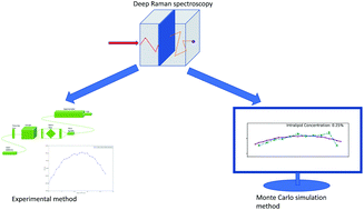 Graphical abstract: An experimental and numerical modelling investigation of the optical properties of Intralipid using deep Raman spectroscopy