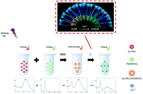 Graphical abstract: A visualized ratiometric fluorescence sensing system for copper ions based on gold nanoclusters/perovskite quantum dot@SiO2 nanocomposites