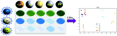 Graphical abstract: A peroxidase-like activity-based colorimetric sensor array of noble metal nanozymes to discriminate heavy metal ions