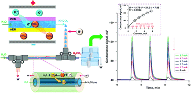 Graphical abstract: A dissolved inorganic carbon measurement method featuring self-calibration function via an electrodialytic generator