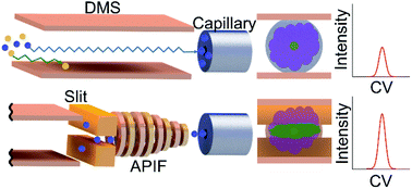 Graphical abstract: An atmospheric pressure ion funnel with a slit entrance for enhancing signal and resolution in high resolution differential ion mobility mass spectrometry