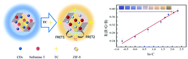 Graphical abstract: Tandem Förster resonance energy transfer induced visual ratiometric fluorescence sensing of tetracyclines based on zeolitic imidazolate framework-8 incorporated with carbon dots and safranine T