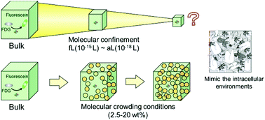 Graphical abstract: Enzyme kinetics in confined geometries at the single enzyme level