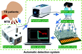 Graphical abstract: Rapid detection of airborne protein from Mycobacterium tuberculosis using a biosensor detection system