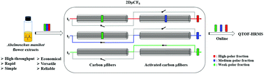 Graphical abstract: On the use of a 2D-carbon microfiber fractionation system to improve flow-injection QTOF-HRMS analysis in complex matrices: the case of Abelmoschus manihot flower extracts