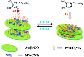 Graphical abstract: Determination of dopamine based on a temperature-sensitive PMEO2MA and Au@rGO-MWCNT nanocomposite-modified electrode