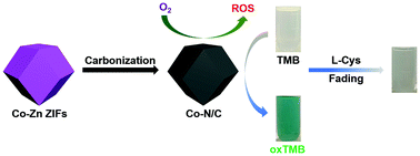 Graphical abstract: Co–N/C-900 metal–organic framework-derived nanozyme as a H2O2-free oxidase mimic for the colorimetric sensing of l-cysteine