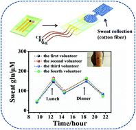 Graphical abstract: A highly flexible Ni–Co MOF nanosheet coated Au/PDMS film based wearable electrochemical sensor for continuous human sweat glucose monitoring