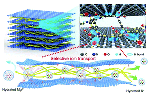 Graphical abstract: Super-assembly of freestanding graphene oxide-aramid fiber membrane with T-mode subnanochannels for sensitive ion transport
