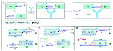 Graphical abstract: DNA tile self-assembly driven by antibody-mediated four-way branch migration