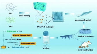 Graphical abstract: Swellable PVA/PVP hydrogel microneedle patches for the extraction of interstitial skin fluid toward minimally invasive monitoring of blood glucose level