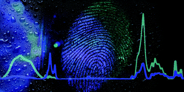 Graphical abstract: Monitoring the chemical changes in fingermark residue over time using synchrotron infrared spectroscopy