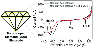 Graphical abstract: Simultaneous electrochemical detection of ozone and free chlorine with a boron-doped diamond electrode