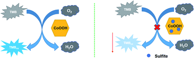 Graphical abstract: 2D CoOOH nanosheets as oxidase mimic for the colorimetric assay of sulfite in food