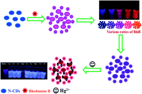 Graphical abstract: Tuning optical properties of nitrogen-doped carbon dots through fluorescence resonance energy transfer using Rhodamine B for the ratiometric sensing of mercury ions