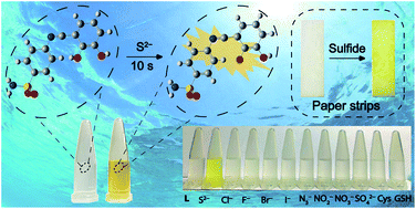 Graphical abstract: A paper-based colorimetric chemosensor for rapid and highly sensitive detection of sulfide for environmental monitoring