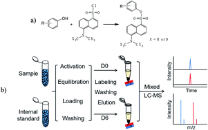 Graphical abstract: Determination of phenolic compounds in estuary water and sediment by solid-phase isotope dansylation coupled with liquid chromatography-high resolution mass spectrometry