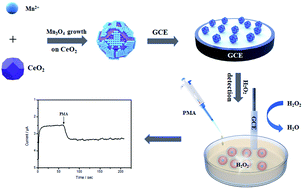 Graphical abstract: Electrochemical sensor based on the Mn3O4/CeO2 nanocomposite with abundant oxygen vacancies for highly sensitive detection of hydrogen peroxide released from living cells