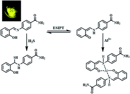 Graphical abstract: A bifunctional fluorescent probe for sensing of Al3+ and H2S