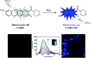 Graphical abstract: A coumarin-based “off–on” fluorescent probe for highly selective detection of hydrogen sulfide and imaging in living cells