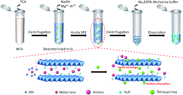 Graphical abstract: Determination of seven tetracyclines in milk by dissolvable layered double hydroxide-based solid-phase extraction coupled with high-performance liquid chromatography