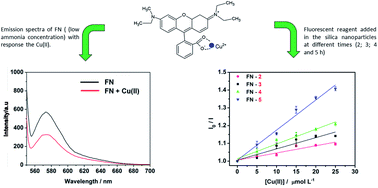 Graphical abstract: Development of a reusable fluorescent nanosensor based on rhodamine B immobilized in Stöber silica for copper ion detection