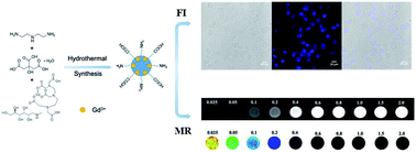 Graphical abstract: Gadolinium-doped carbon dots with high-performance in dual-modal molecular imaging