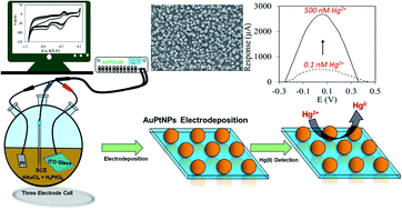 Graphical abstract: Facile and ultra-sensitive voltammetric electrodetection of Hg2+ in aqueous media using electrodeposited AuPtNPs/ITO