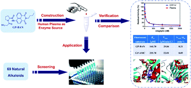 Graphical abstract: A high-throughput screening assay for dipeptidyl peptidase-IV inhibitors using human plasma