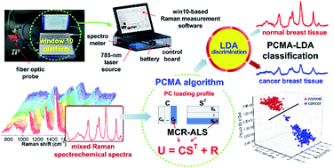 Graphical abstract: Label-free breast cancer detection using fiber probe-based Raman spectrochemical biomarker-dominated profiles extracted from a mixture analysis algorithm