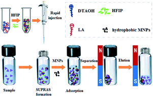 Graphical abstract: Hydrophobic magnetic nanoparticle assisted catanionic surfactant supramolecular solvent microextraction of multiresidue antibiotics in water samples
