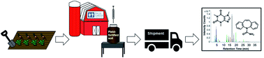 Graphical abstract: Increasing accuracy of field-scale studies to investigate plant uptake and soil dissipation of pharmaceuticals