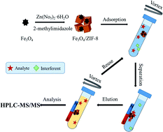 Graphical abstract: Preparation of magnetic zeolitic imidazolate framework-8 for magnetic solid-phase extraction of strobilurin fungicides from environmental water samples