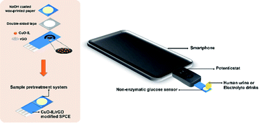 Graphical abstract: A non-enzymatic disposable electrochemical sensor based on surface-modified screen-printed electrode CuO-IL/rGO nanocomposite for a single-step determination of glucose in human urine and electrolyte drinks