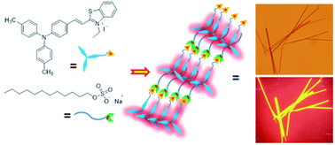 Graphical abstract: A cationic fluorescent probe for highly selective detection of sodium dodecyl sulfate (SDS) by electrostatic and hydrophobic self-assembly