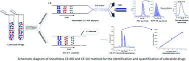 Graphical abstract: Separation, identification and quantification of associated impurities in cobratide using sheathless CE-MS and CE-UV