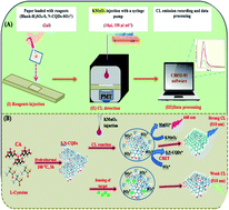 Graphical abstract: A paper-based chemiluminescence detection device based on S,N-doped carbon quantum dots for the selective and highly sensitive recognition of bendiocarb