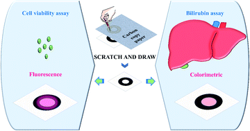 Graphical abstract: “Scratch it out”: carbon copy based paper devices for microbial assays and liver disease diagnosis