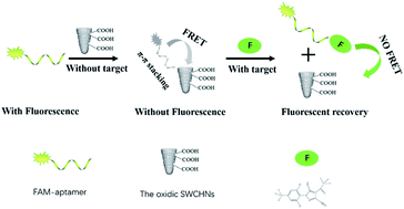 Graphical abstract: Fluorescence assay for the sensitive detection of fipronil based on an “on–off” oxidized SWCNH/aptamer sensor