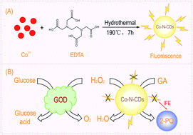 Graphical abstract: A fluorimetric and colorimetric dual-signal sensor for hydrogen peroxide and glucose based on the intrinsic peroxidase-like activity of cobalt and nitrogen co-doped carbon dots and inner filter effect