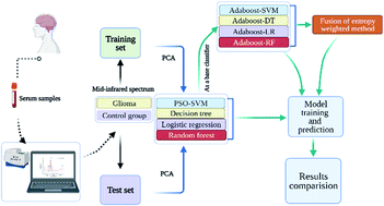 Graphical abstract: Application of serum mid-infrared spectroscopy combined with an ensemble learning method in rapid diagnosis of gliomas