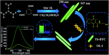 Graphical abstract: Facile synthesis of highly luminescent rod-like terbium-based metal–organic frameworks for sensitive detection of olaquindox