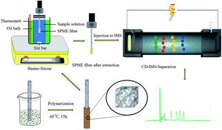 Graphical abstract: Fabrication of Co3O4 quantum dot incorporated polyacrylamide ethylene glycol dimethacrylate as a new fiber for solid phase microextraction and trace determination of organophosphorus pesticides in environmental water samples
